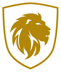 Black Lion Web Developer - Professional web development services in Ethiopia